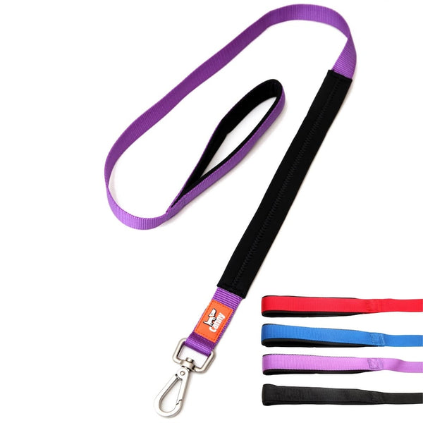 Purple 25mm wide Canny Lead for medium to large dogs, with padded black grip and secure steel clip, shown with all colour options: red, blue, purple, black.