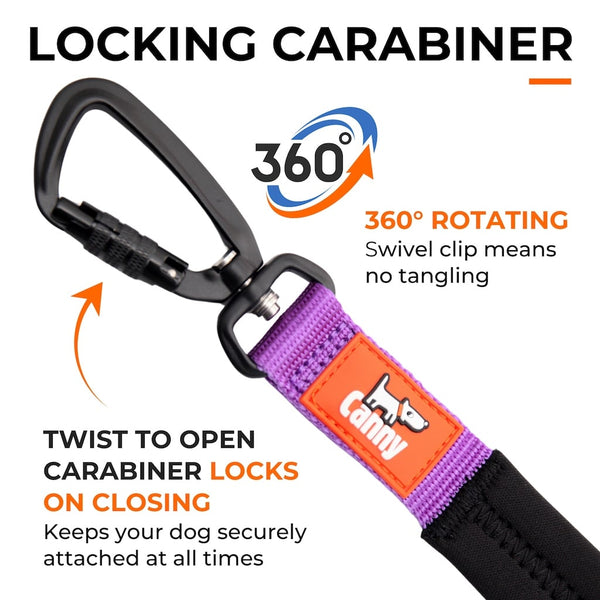 Close-up of purple Canny Lead with black locking carabiner and 360° swivel clip for no tangle, secure dog walking.