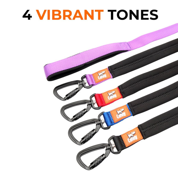Canny Lead shown in 4 colour options - purple, red, blue, and black - all with black locking carabiner and orange Canny logo.