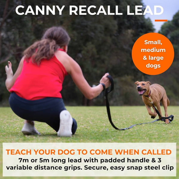 Woman kneeling on grass calling brown dog running with Canny Recall Lead; for small, medium and large dog breeds.