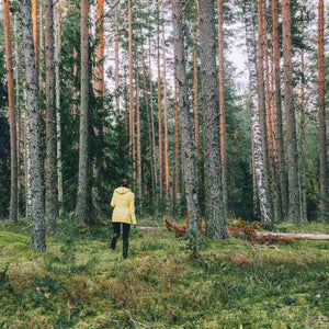Una donna che cerca il suo cane smarrito nella foresta