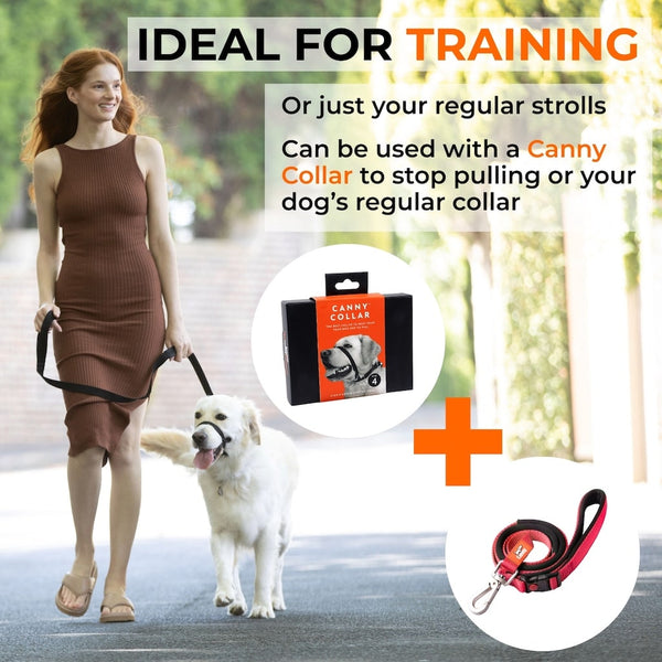 Woman walking large white dog using Canny Connect anti-escape lead for training, showing relaxed, no‑pull control.