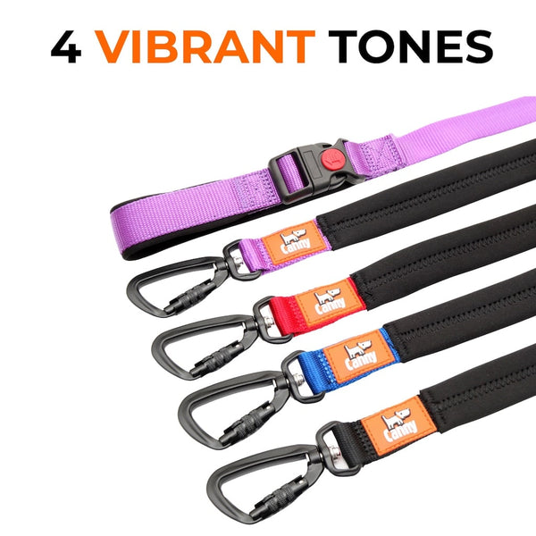 Canny Connect anti-escape lead shown in 4 colour options—purple, red, blue, and black—all with locking carabiner and orange Canny logo.