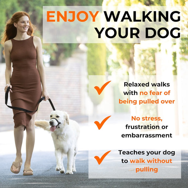 Woman walking dog with Canny Collar, promoting relaxed, no-pull walks with less stress and more control.