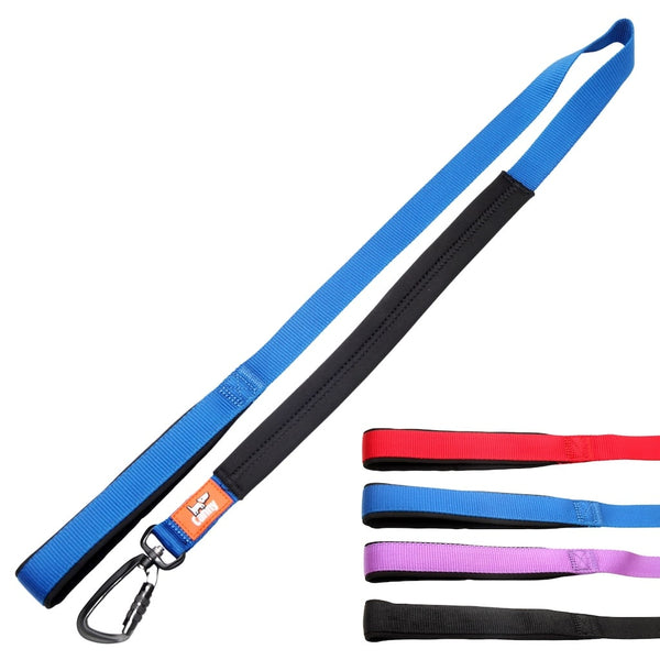 Blue 120cm Canny Lead for medium-large dogs with black, soft grip and locking carabiner, shown with four colour choices.