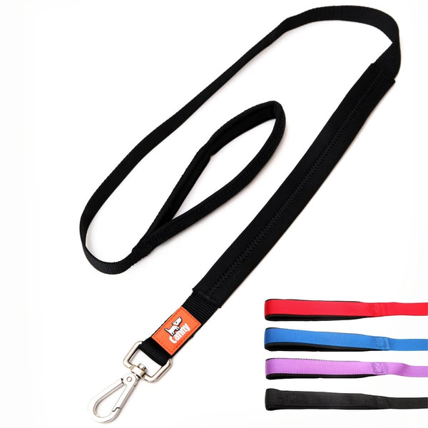 Black 25mm wide Canny Lead for medium to large dogs, with padded neoprene handle and grip, steel clip and swatches showing four colour options.