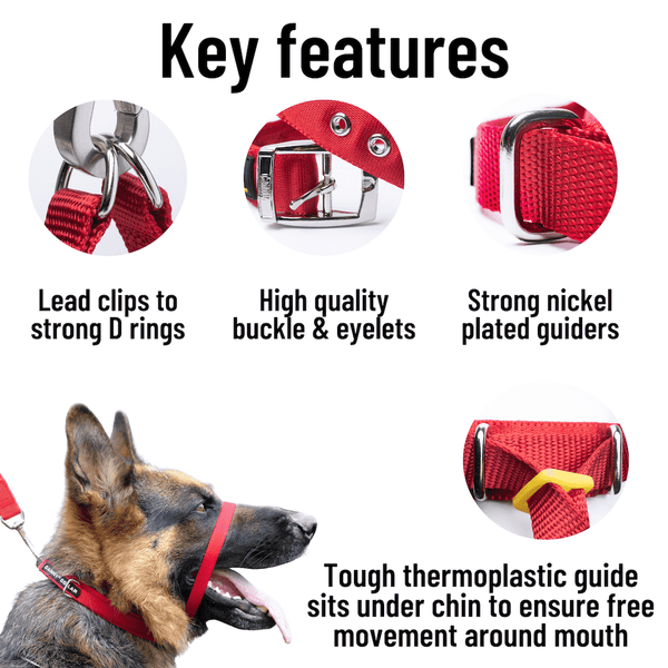 Key features of the Canny Collar dog head collar. Lead clips to strong D rings. High quality buckle and eyelets. Strong nickel plated guiders ensure free movement. Tough thermoplastic guide sits under chin to ensure free movement around mouth.