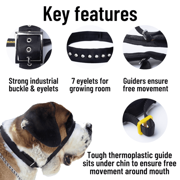 Key features of the Canny Colossus dog head collar. Strong industrial buckle and eyelets. Seven eyelets for growing room. Strong nickel plated guiders ensure free movement. Tough thermoplastic guide sits under chin to ensure free movement around mouth.