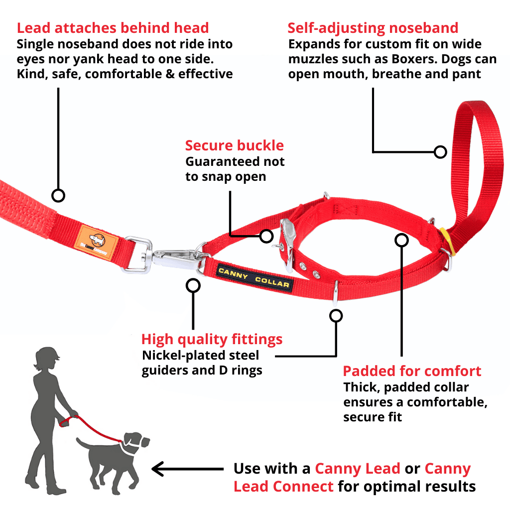 Canny deals collar test