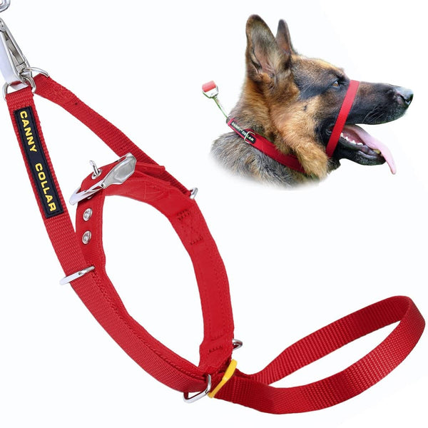 Cane da pastore tedesco con la bocca aperta che indossa un cavezza da addestramento rosso per cani Canny Collar Headcollar
