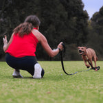 Dog running to woman on long lead while training it to come back when called